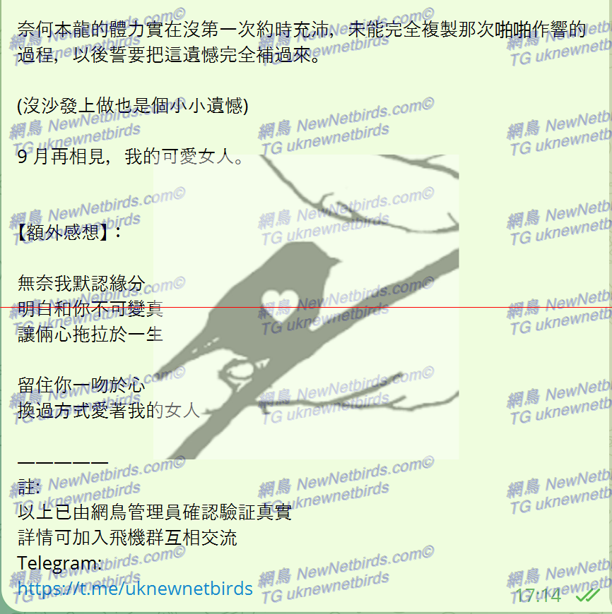 戰號 306 3.png